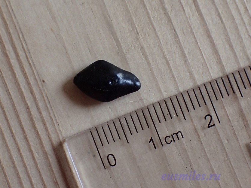 Черная блестящая окаменелость, около 1 см. 